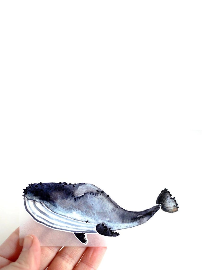 Halfbird Bügelbild Wal – jetzt kaufen