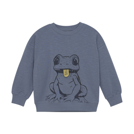 Minymo Pullover Frosch Biobaumwolle flint stone – jetzt kaufen