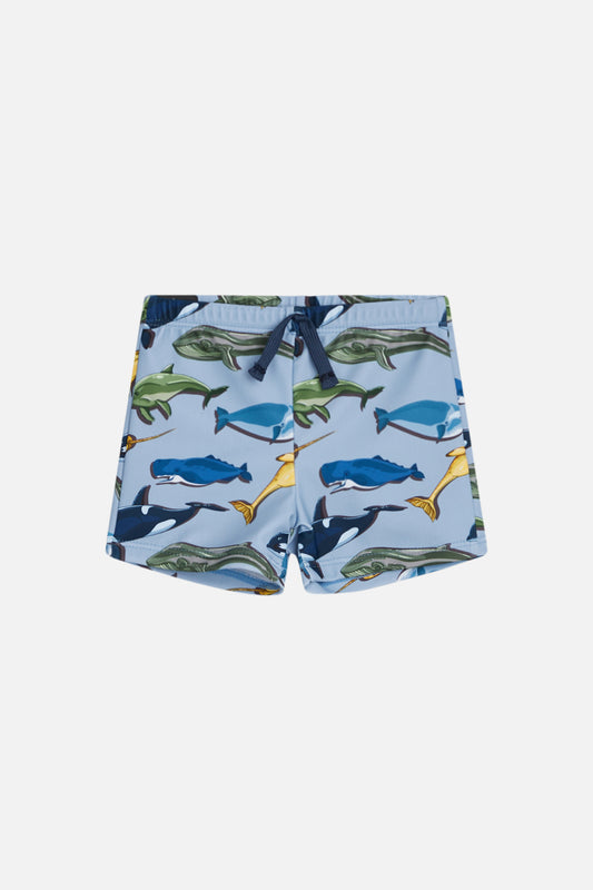 Hust and Claire Haki-HC - Badehose UV50+ - Fische - gl – jetzt kaufen